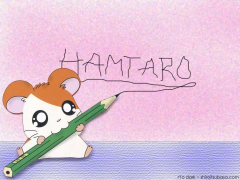 hamtaro 4 siyahı